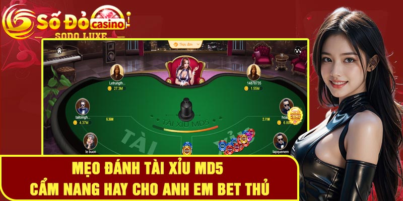 Mẹo đánh tài xỉu MD5 - Cẩm nang hay cho anh em bet thủ