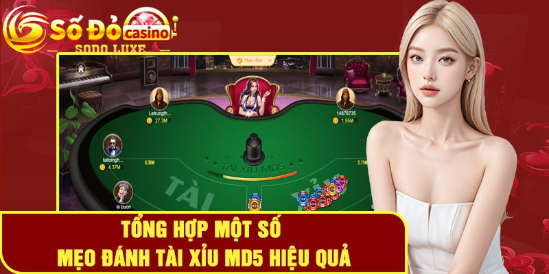 Tổng hợp một số mẹo đánh tài xỉu MD5 hiệu quả